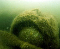 Под Одессой на дне моря нашли немецкий самолет с секретными документами  