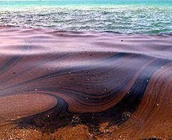 Под Одессой нефтью загрязнены 3 километра берега 