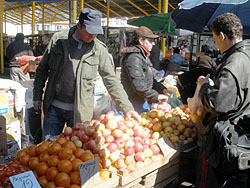 В Одессе падают цены на яблоки, но дорожает молочное 