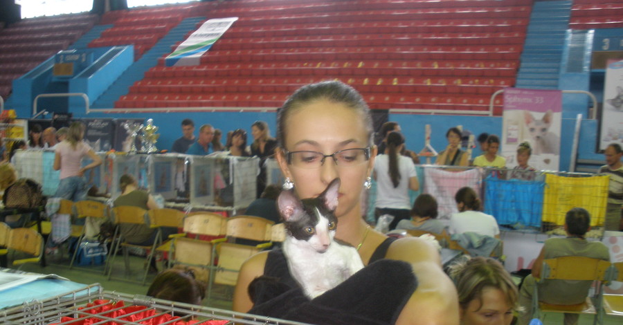 В Одессе международный конкурс кошек судили чехи и итальянцы