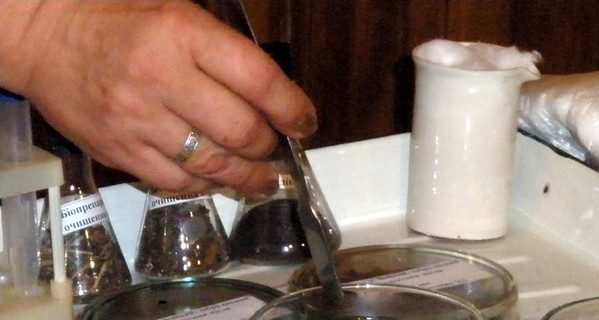 Одесситы изобрели уникальное средство очистки воды и грунта от нефти