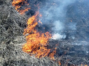 В Одессе горит мусор и сухая трава в парках и скверах