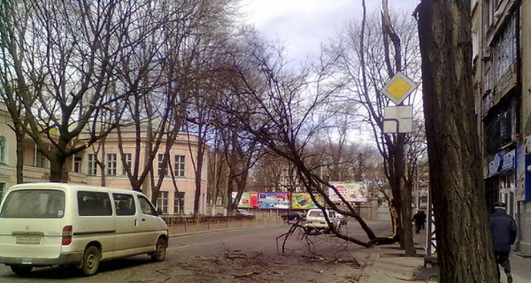 Ветер завалил деревья. Движение транспорта на Пироговской было парализовано