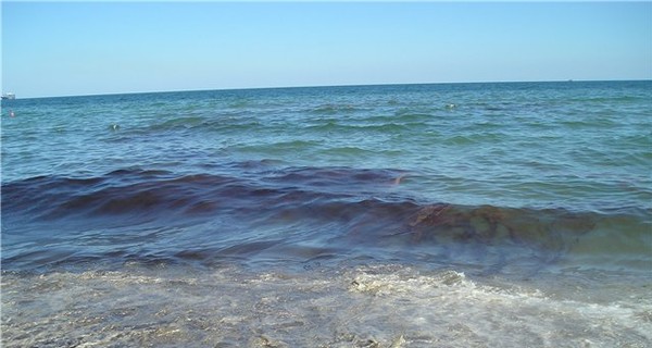 ЧП на Черном море: с пляжей Ильичевска собрали 9 тонн нефти