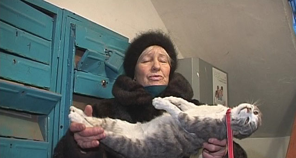 Одесские банкиры жестоко убили кота