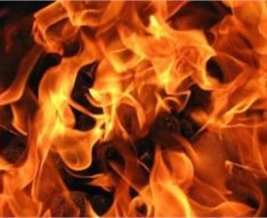 В Одесской области сгорело больше трех тысяч книг