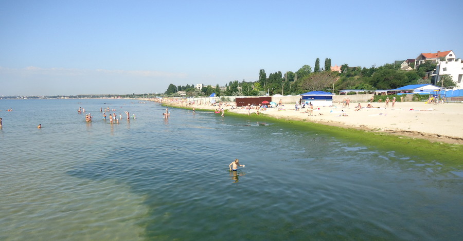 В прогретом до 26 градусов море у Одессы развелись водоросли