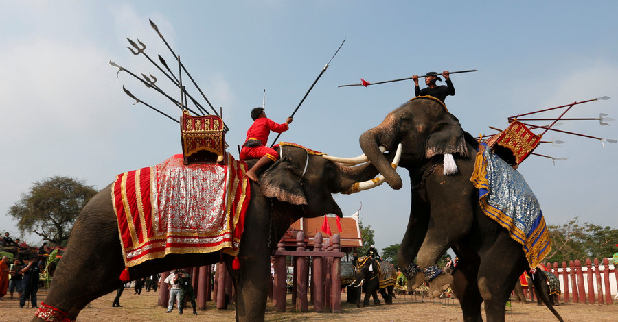 В Таиланде отмечают День слона красочным празднованием