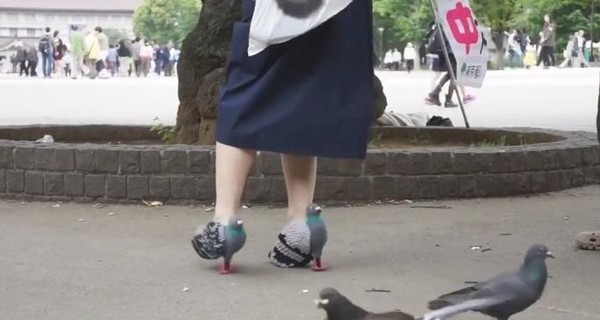 Модный тренд: сеть покорили японские туфли-голуби