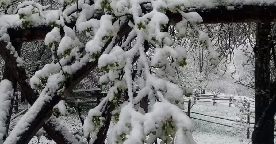 В Карпатах шесть градусов мороза и выпал снег