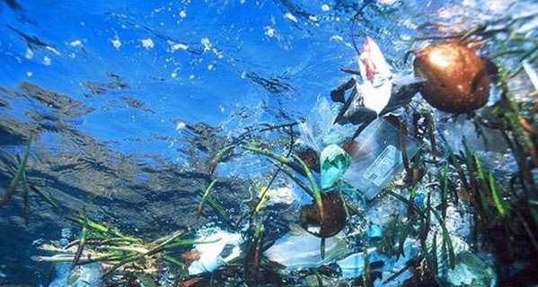ООН: к 2050 году в океанах пластикового мусора будет больше, чем рыбы