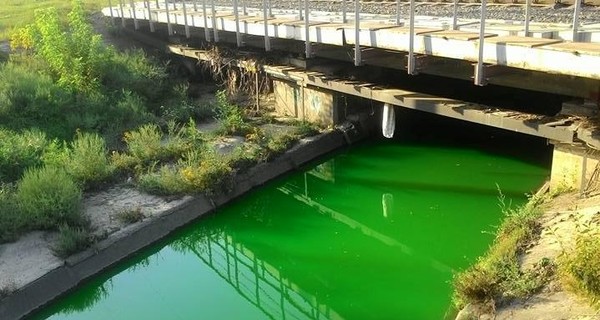 В Киеве позеленела река Лыбедь 